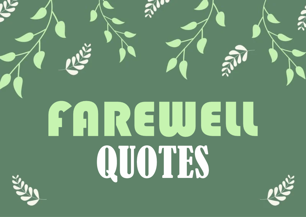 All Kinds of Farewell Invitation Quotes – Funny, Loving, Generic and more