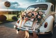 Just Married”: Adorable Wedding Car Decoration Ideas to Make Your Day Special